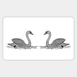 Swans in Love - black and white water bird drawing - on white Magnet